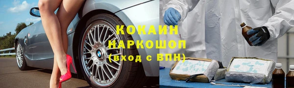 ГАЛЛЮЦИНОГЕННЫЕ ГРИБЫ Каменногорск