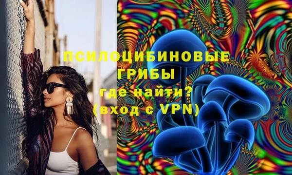не бодяженный Няндома