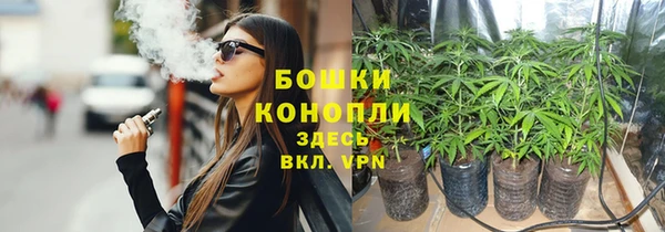 не бодяженный Няндома