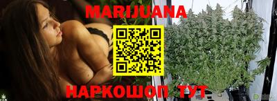 прущие грибы Заводоуковск