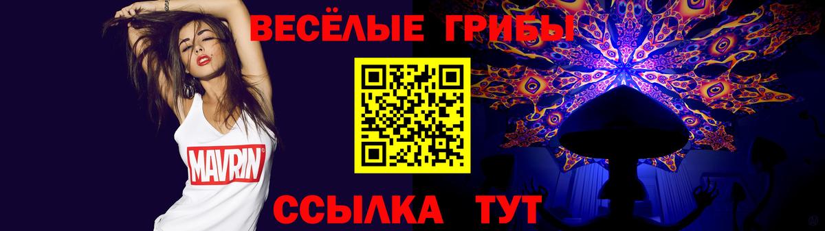 Псилоцибиновые грибы мицелий  Вход с VPN  Кумертау 